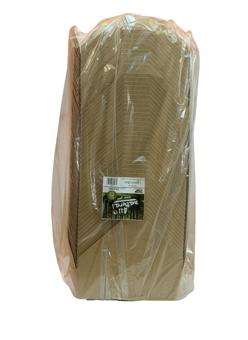 Mealbox Nature 20x14x6,5cm 234888 100Stk.