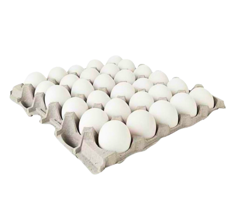 Eier 30Stk.