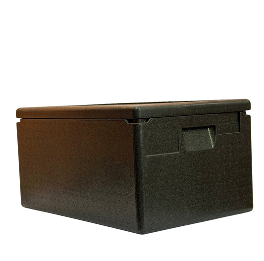 Transportbox 10053 54x34x26cm